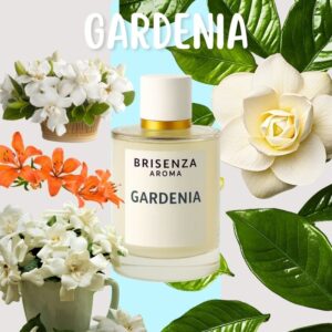 Gardenia
