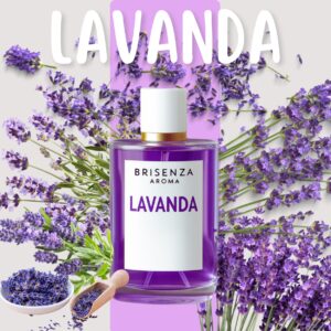 Lavanda