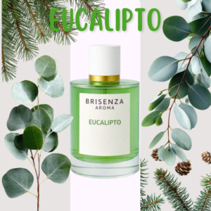 Eucalipto