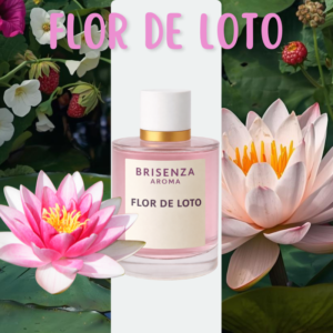 Flor de Loto